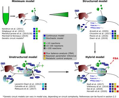 Modeling Cell-Free Protein Synthesis Systems—Approaches and Applications